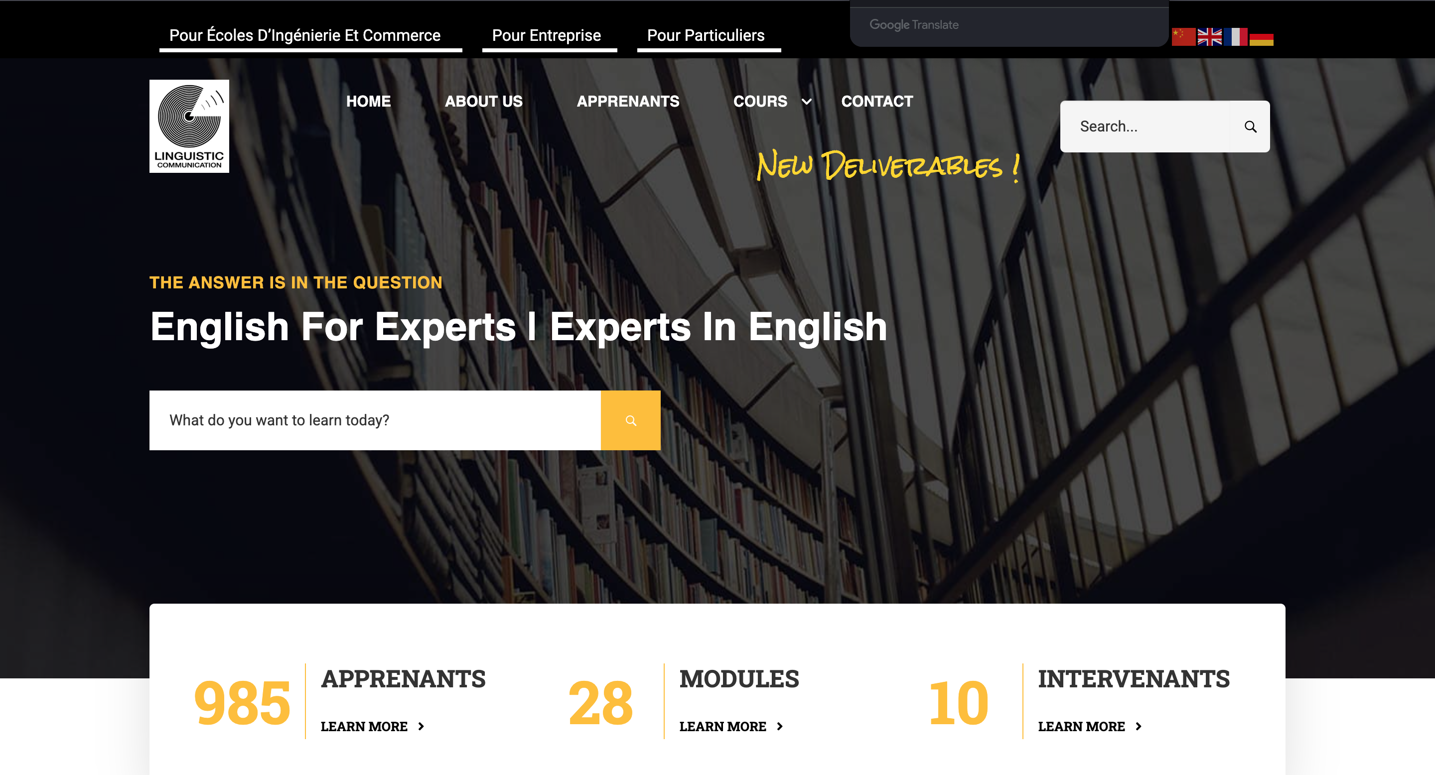 Linguistic Communication